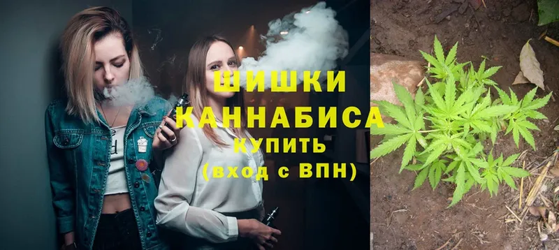 Марихуана Amnesia  цена   MEGA маркетплейс  Куровское 